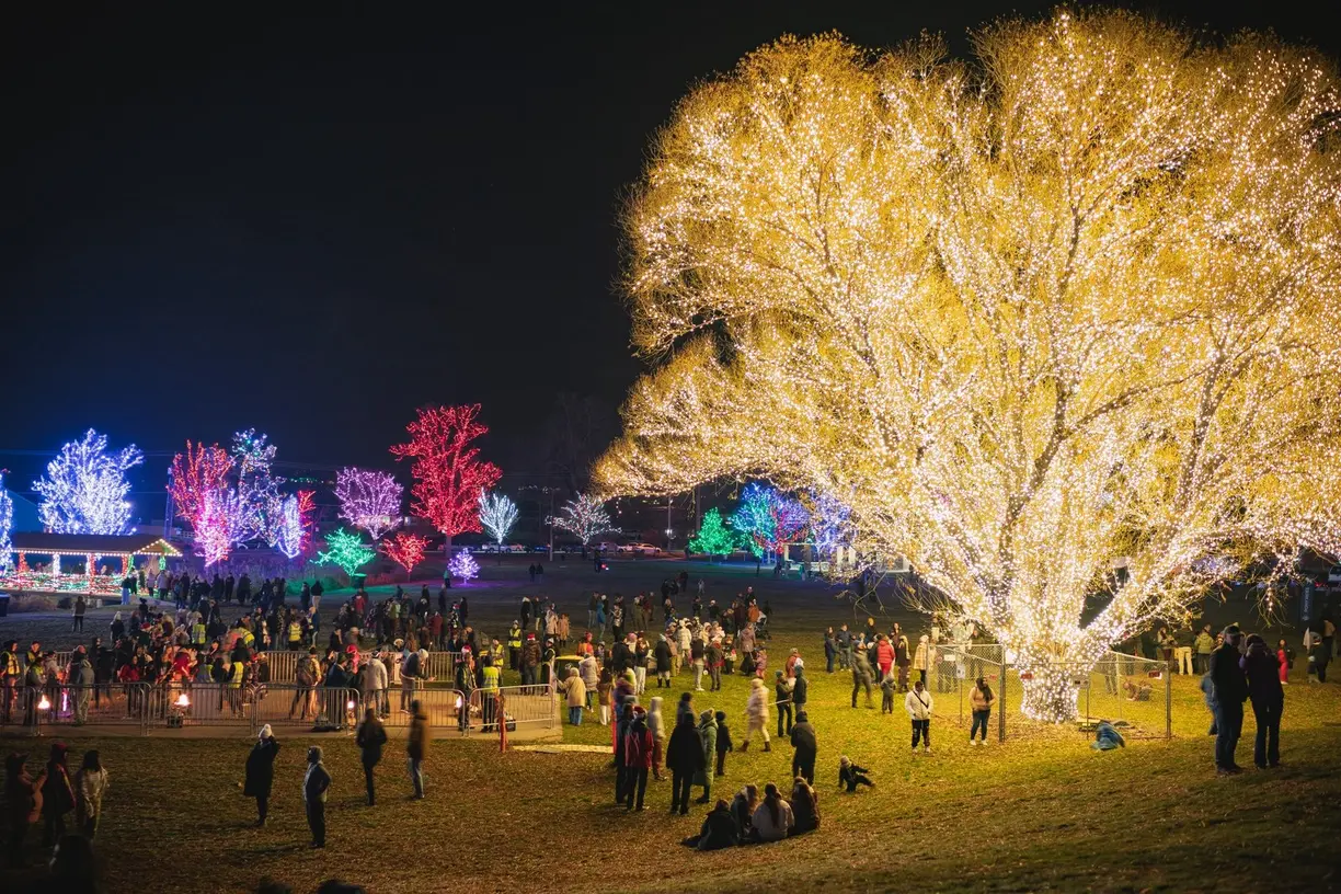 Professional tree lighting with warm white LEDs